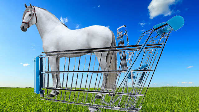 horse meat supermarket horse in trolley The Horsemeat Scandal   Is the Government to Blame?