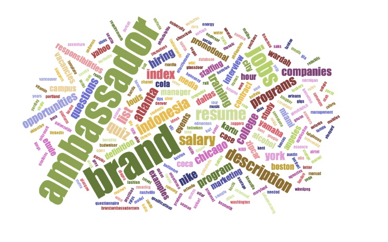 brand ambassador A Game of Two Perspectives: From Agency to Blogger
