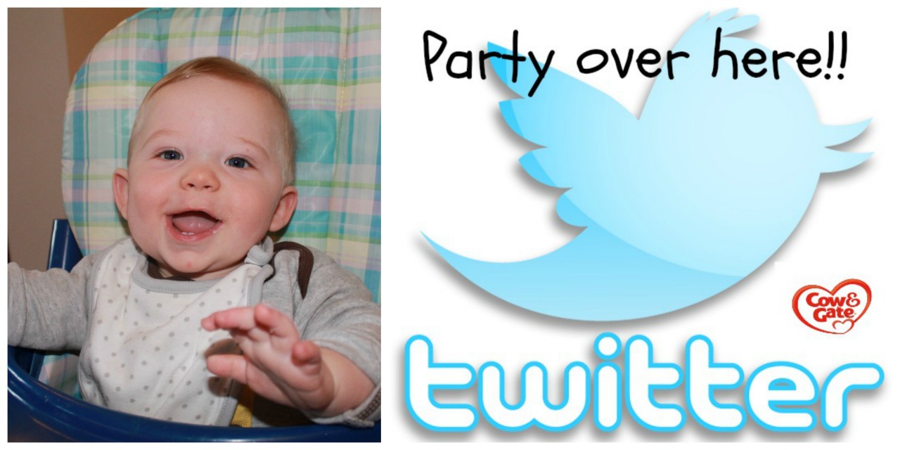 Twitter Party Cow and Gate