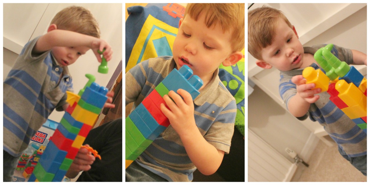 Mega Blox First Builders