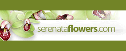 Serenata2 Banner GIVEAWAY & REVIEW: Get Mothers Day sorted with Serenata Flowers (CD: 11/03/2015)